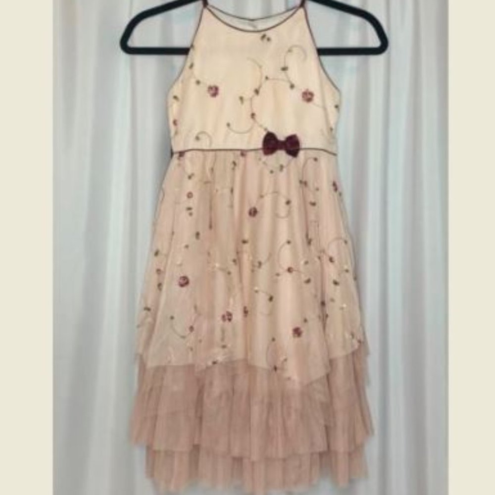 Modern Princess Girls Sz 12 Pink & Burgundy Dress